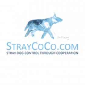 StrayCoco Foundation based in Switzerland
